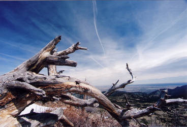 Where condensation trails meet