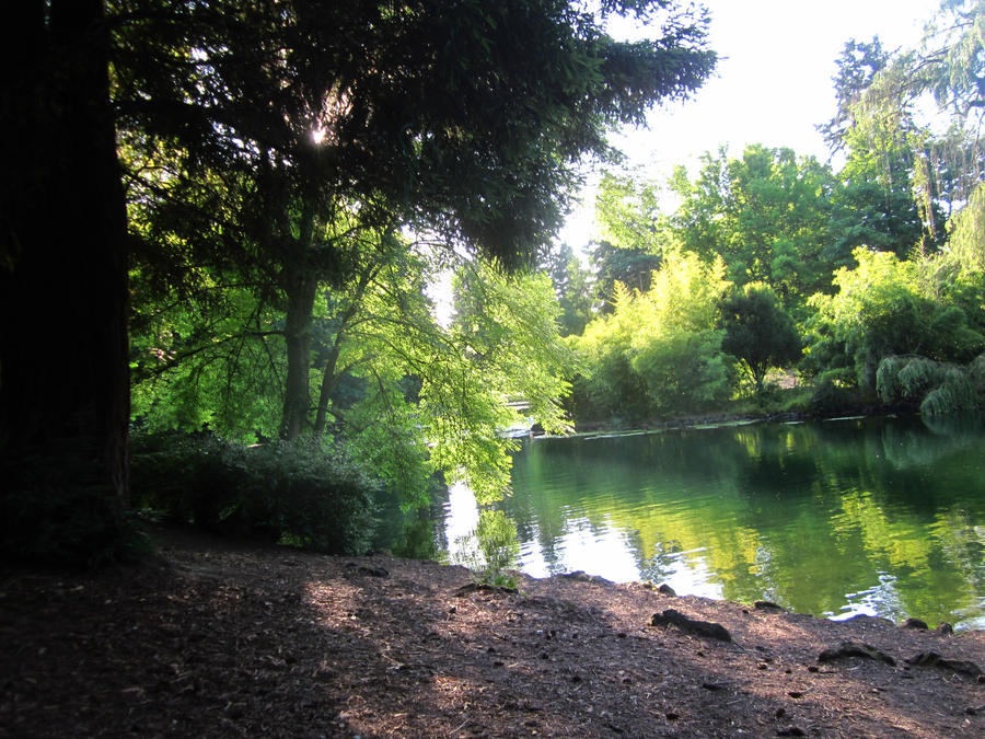 duck pond downtown