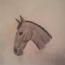 Horse Head (copied)