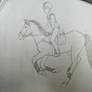 Horse and rider - referenced