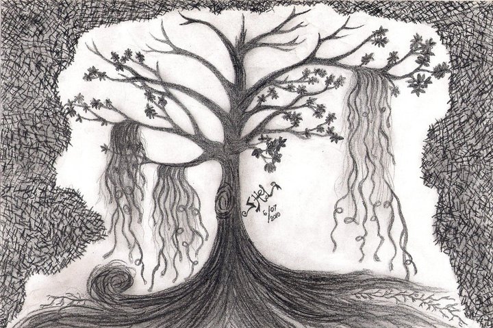 Pohon Beringin Di Tinggal Tuan By S Hellda On Deviantart Pohon Beringin Di Tinggal Tuan By S Hellda On Deviantart