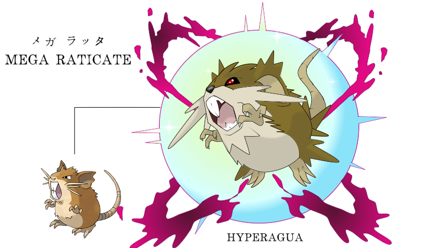 Raticate Evolution