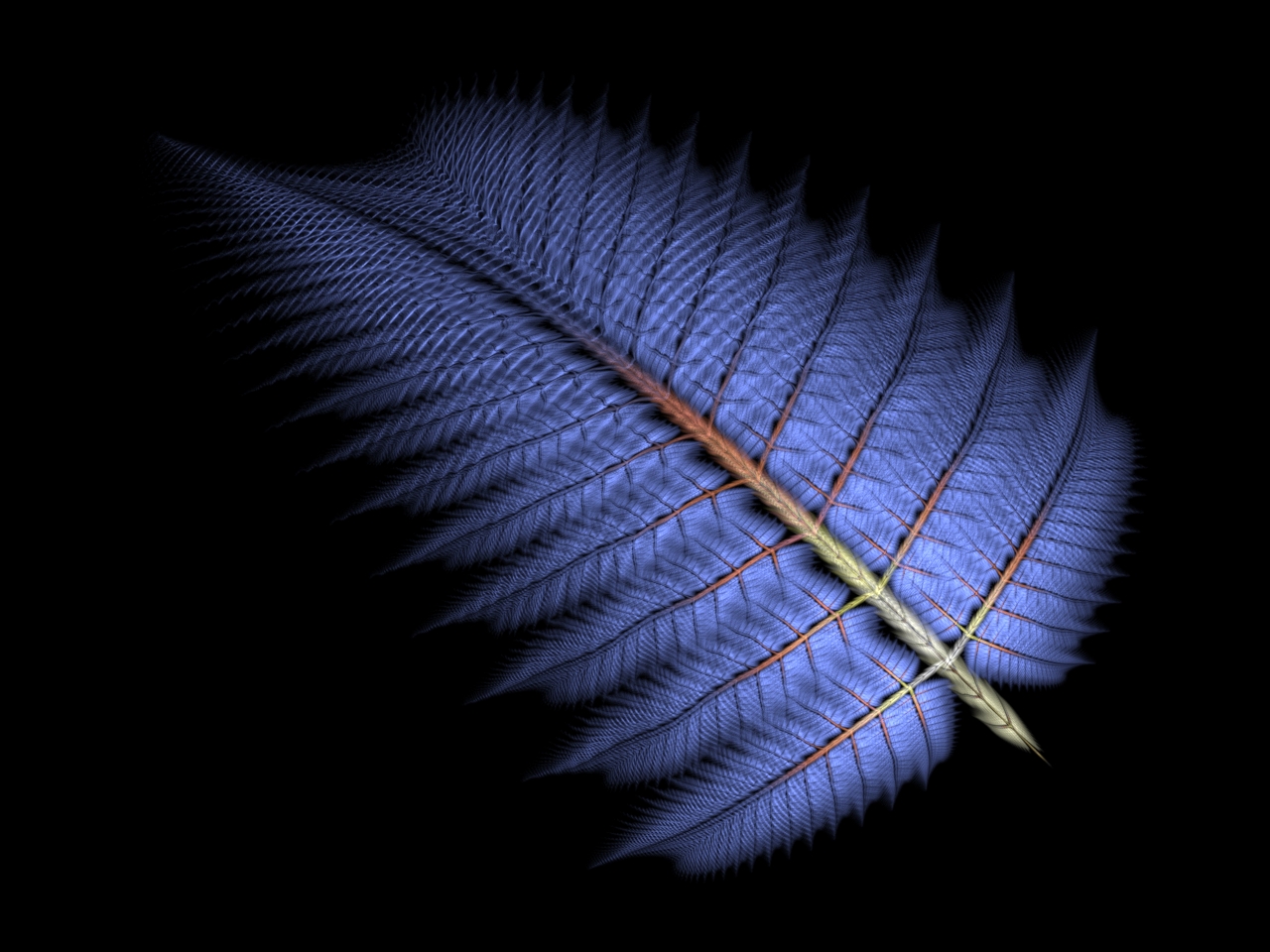 Apophysis Saw Tooth Fern