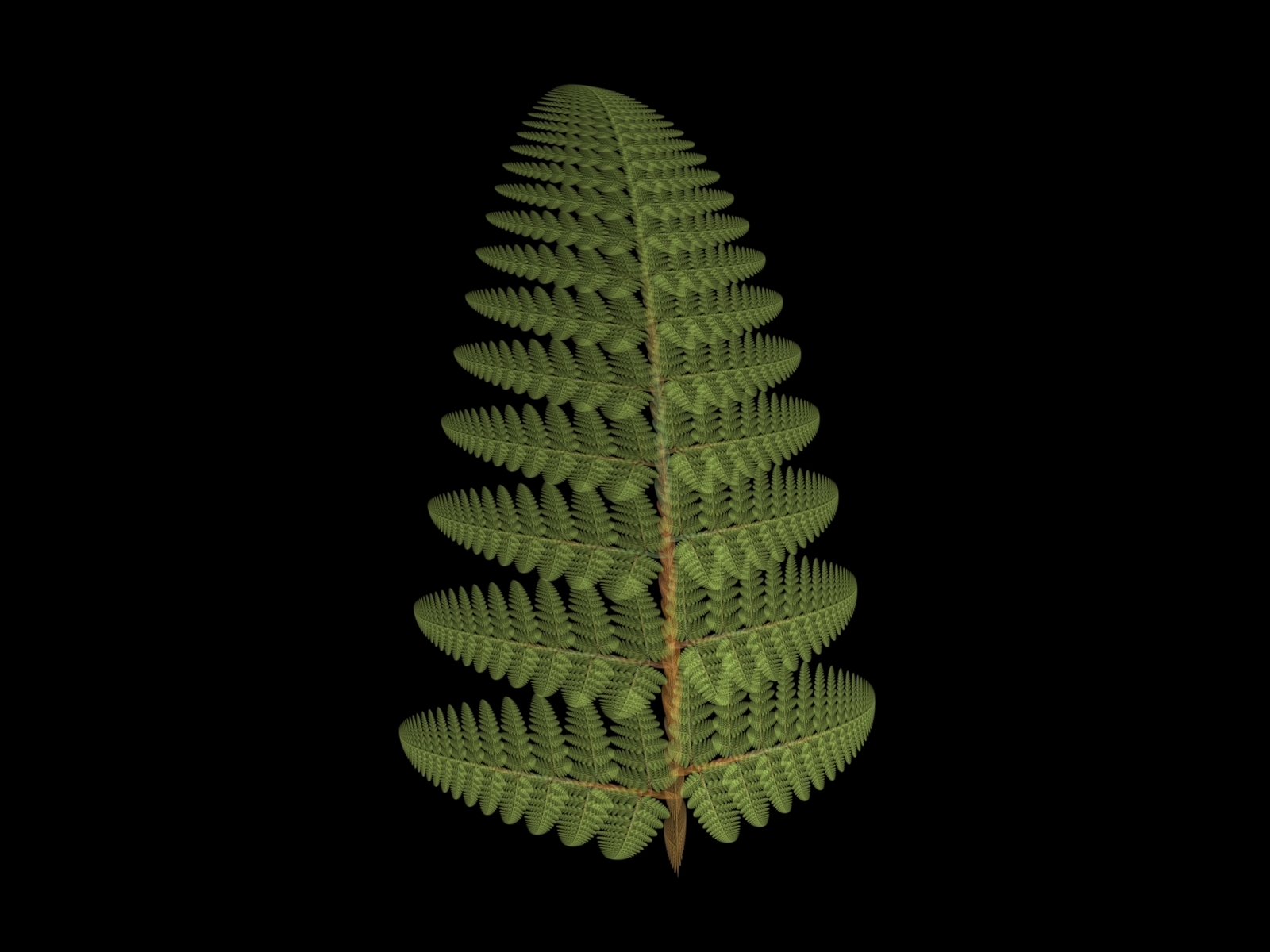 The Apophysis Fern