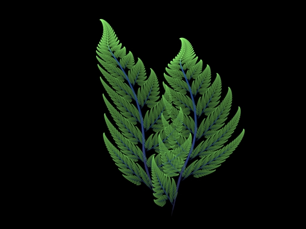 Apophysis Julia Fern Frond II