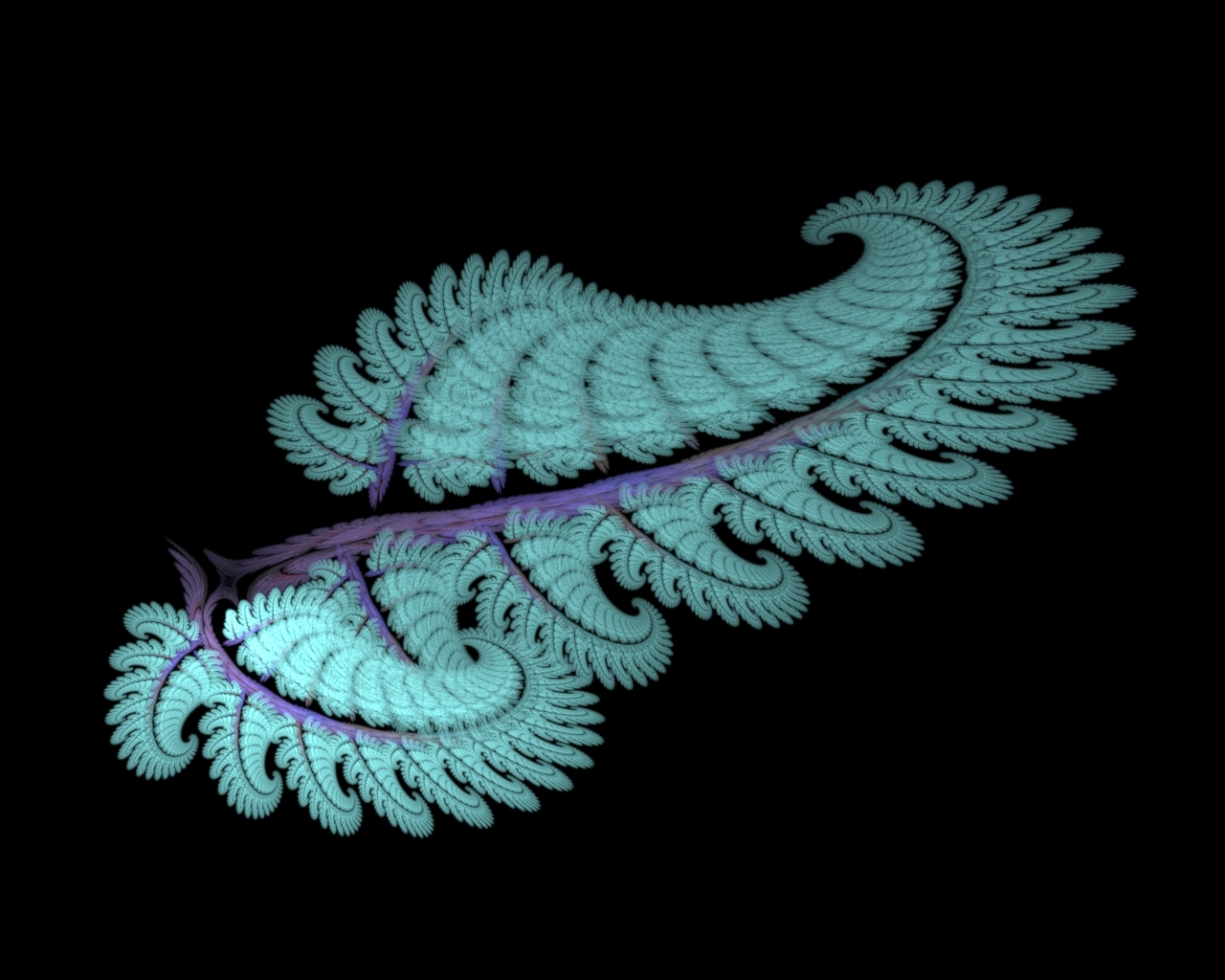 Apophysis Julia Fern Frond III