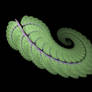 Apophysis Fern Frond Spiral