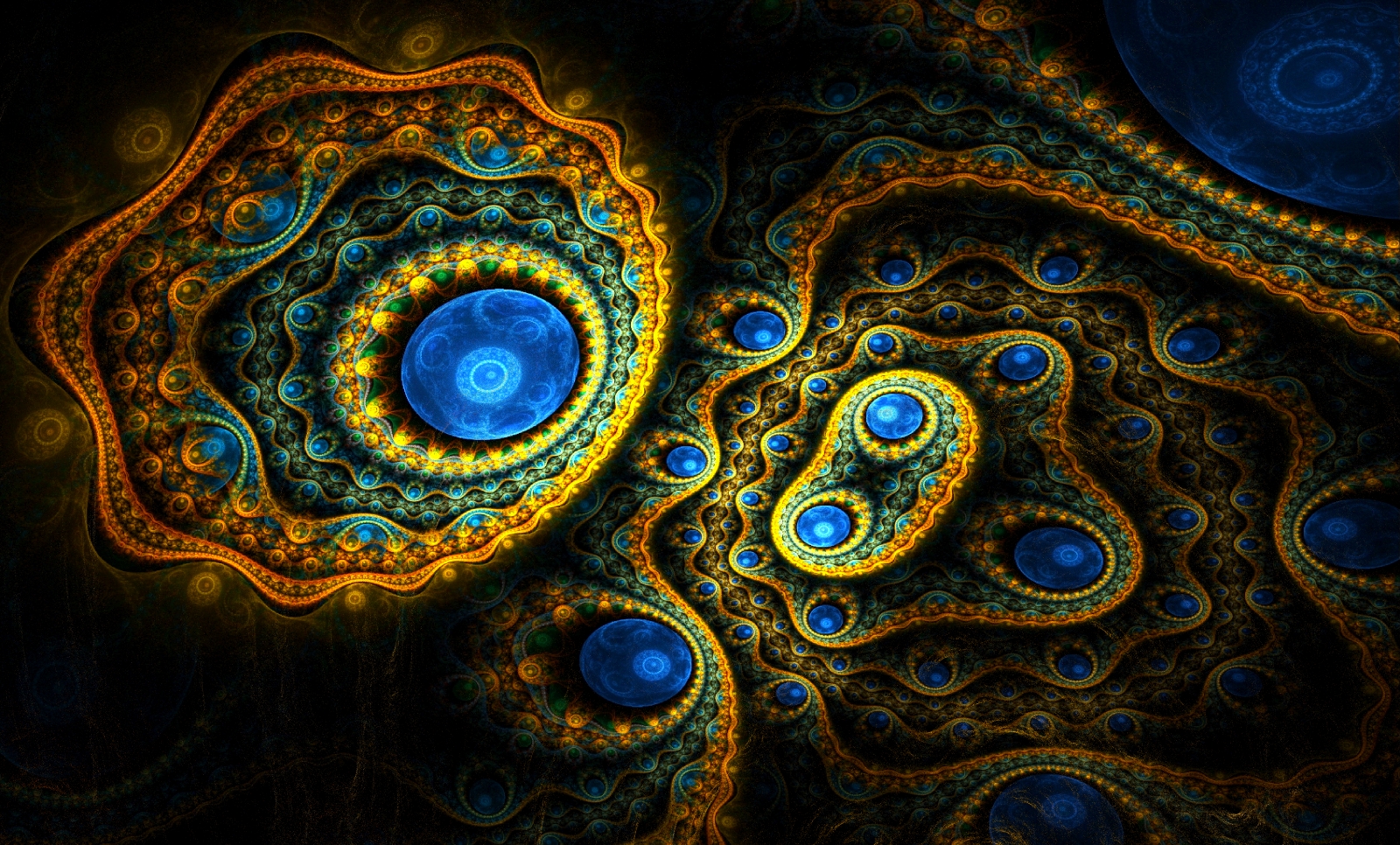 Blueberry Apophysis