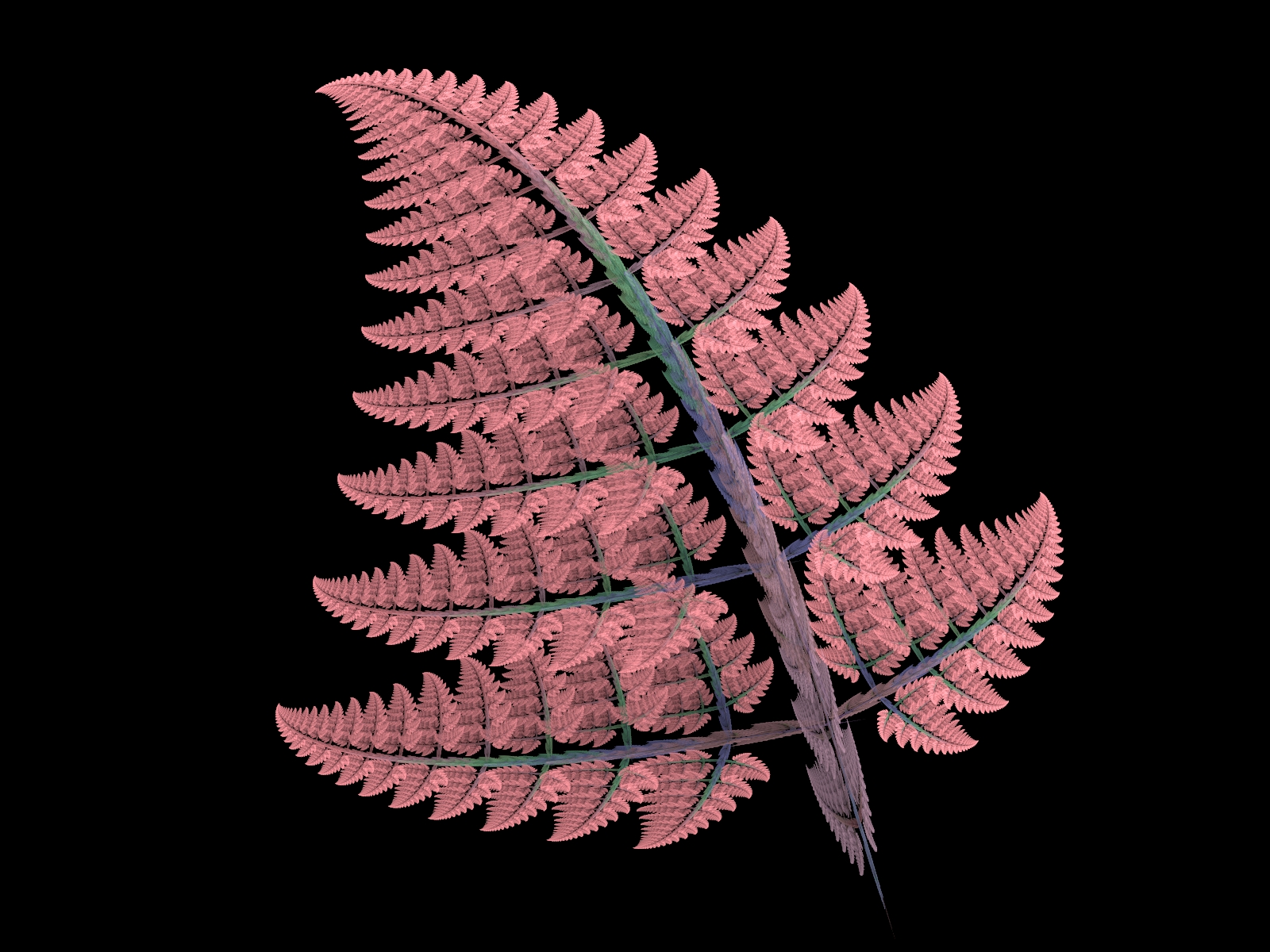 Frost Pink Fern Frond