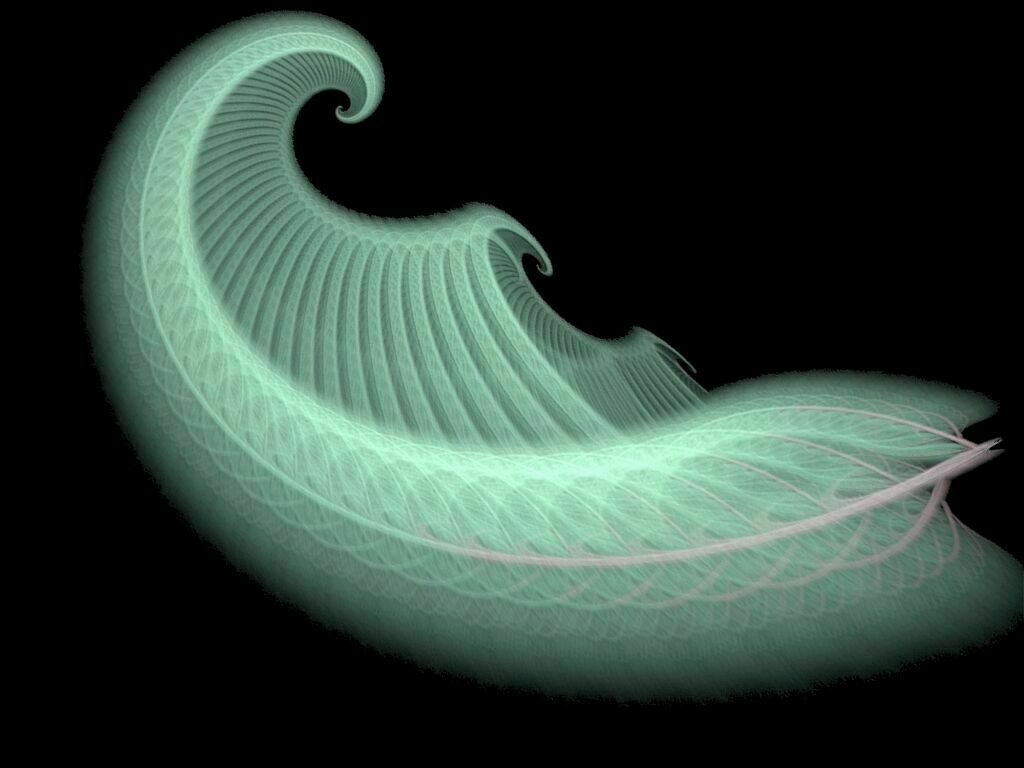 Apophysis Curly Fern Mutation