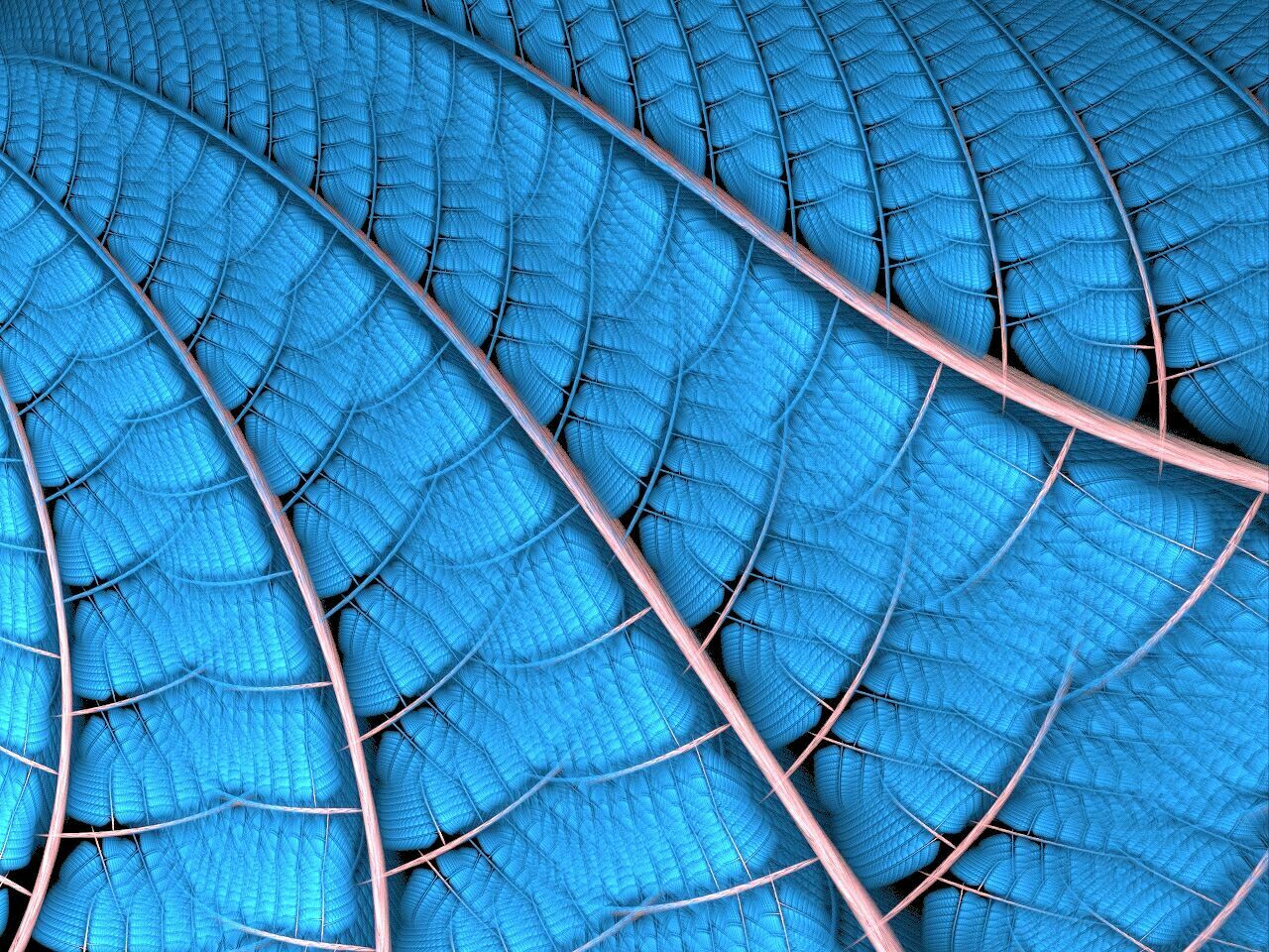 Quite Blue Apophysis