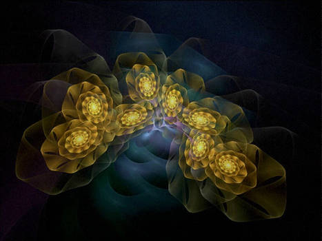 Night Blooming Apophysis