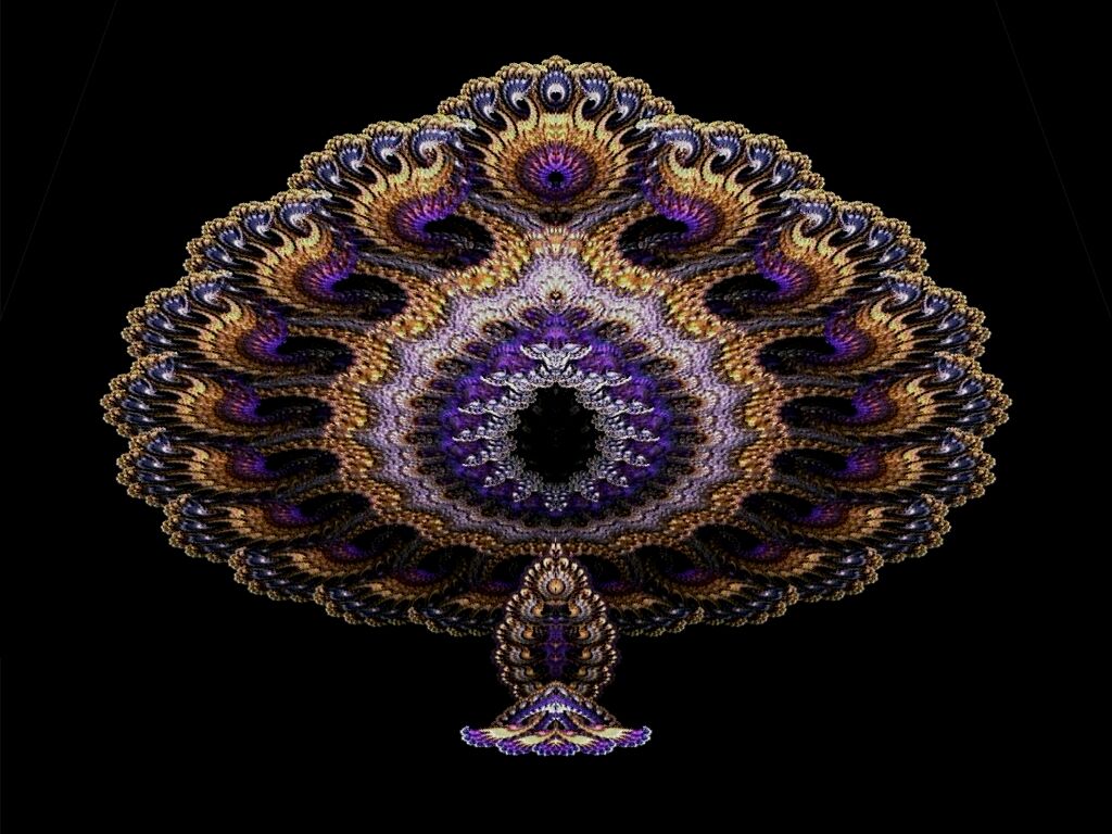 Standing Apophysis