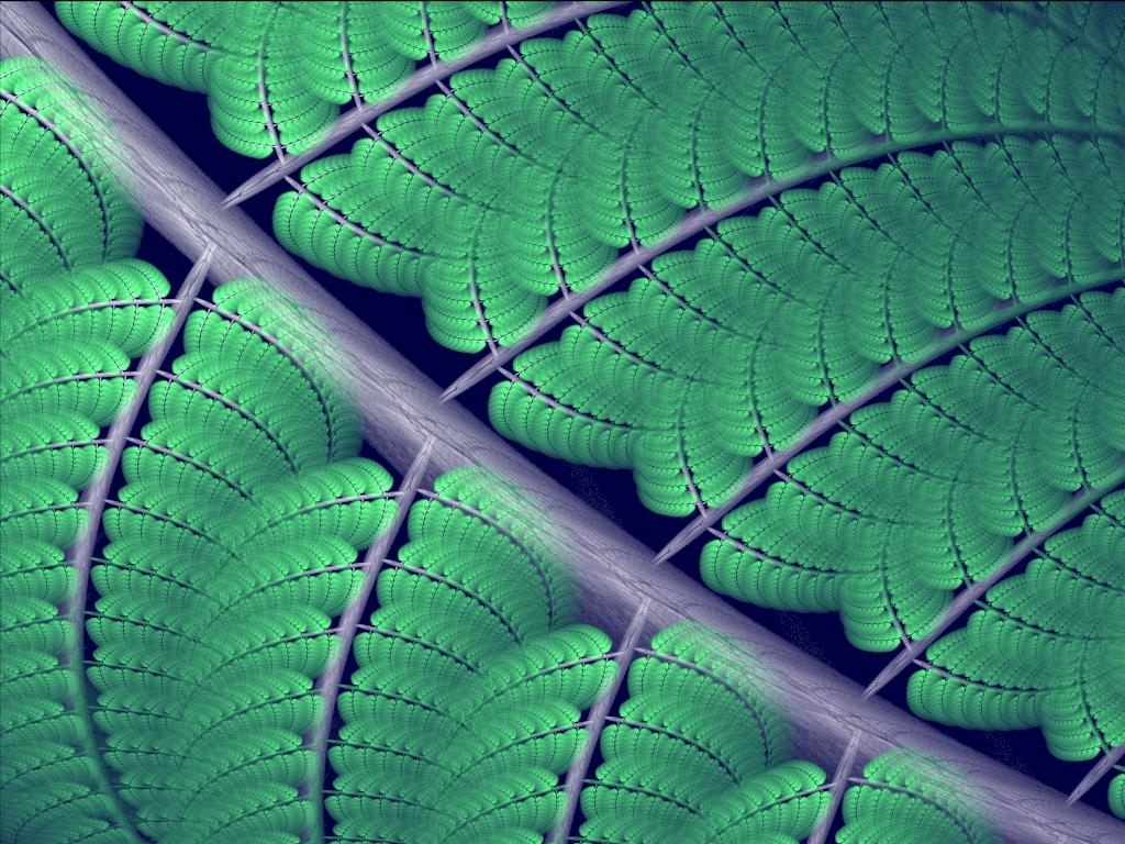 Apophysis Fern Frond Zoom