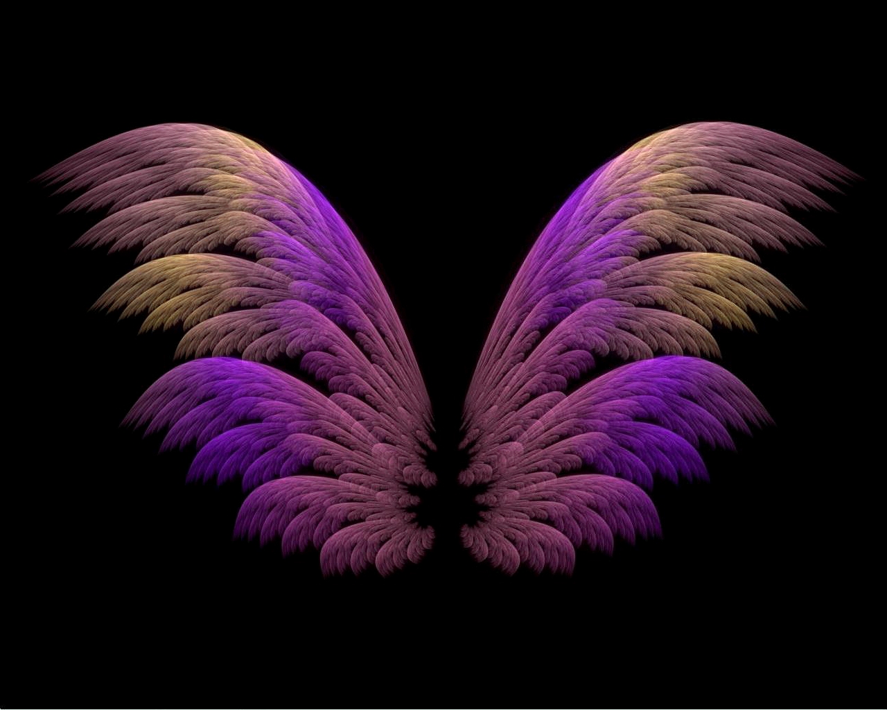 Wings Of Apophysis 002