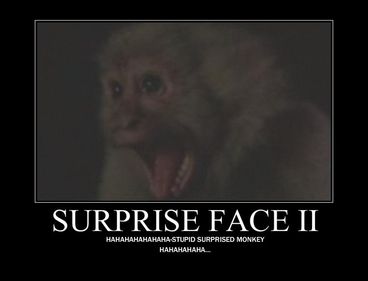 Stupid surprised monkey face by LJPhil on DeviantArt