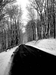 country road in winter 2