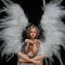 Fernanda fairy angel 01