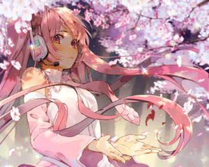 Sakura Miku