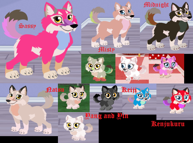 Happy best sale pets facebook