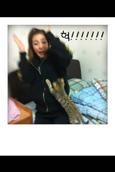 Dara's Awesome Me2day Update