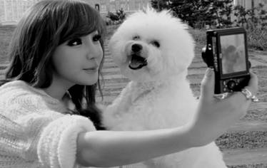 Bom and Poodle 2