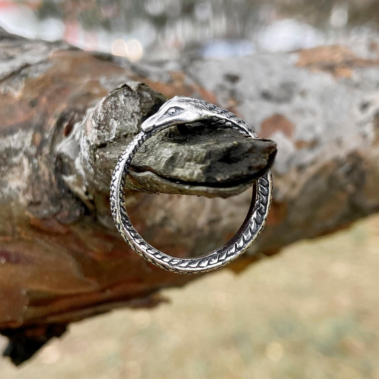 Eating Ring Ouroboros ring, Snake eat tail, Size 7 US, Silver by BDSart on DeviantArt