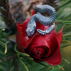 Rattlesnake ring, Sterling silver