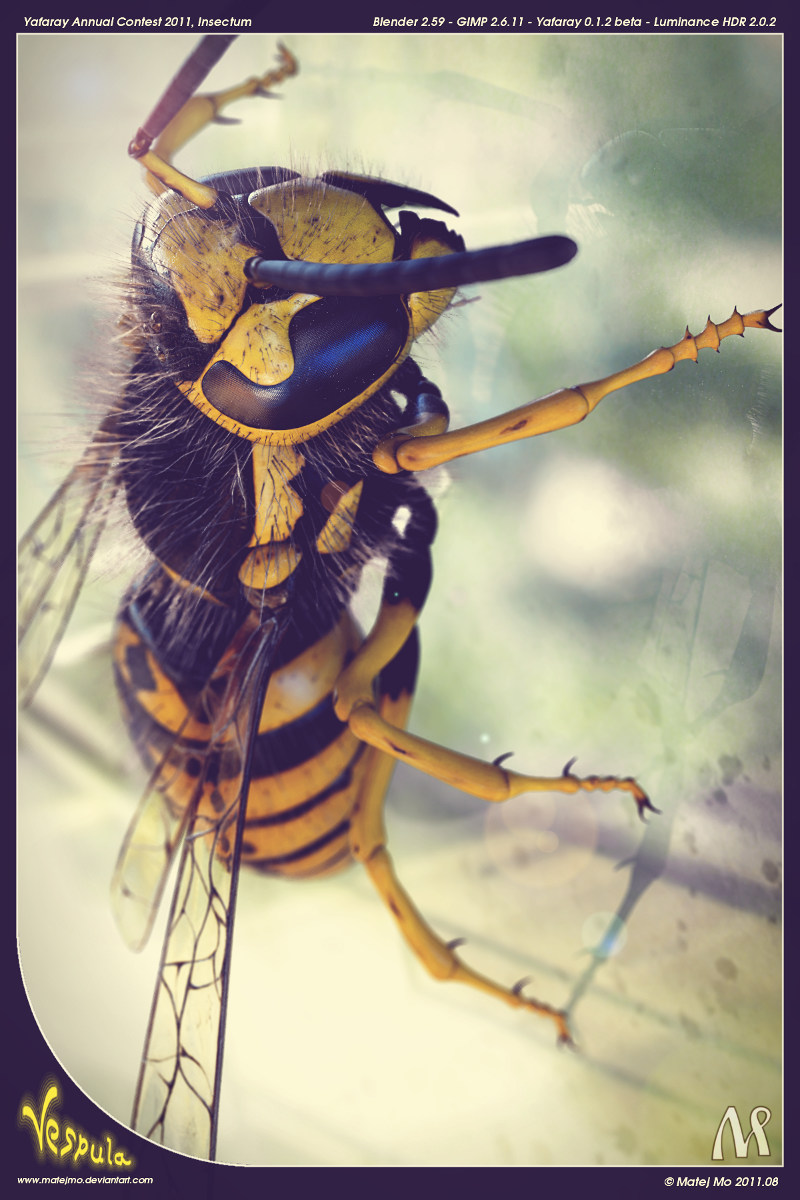 Vespula