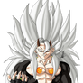 Vegetto ssj6