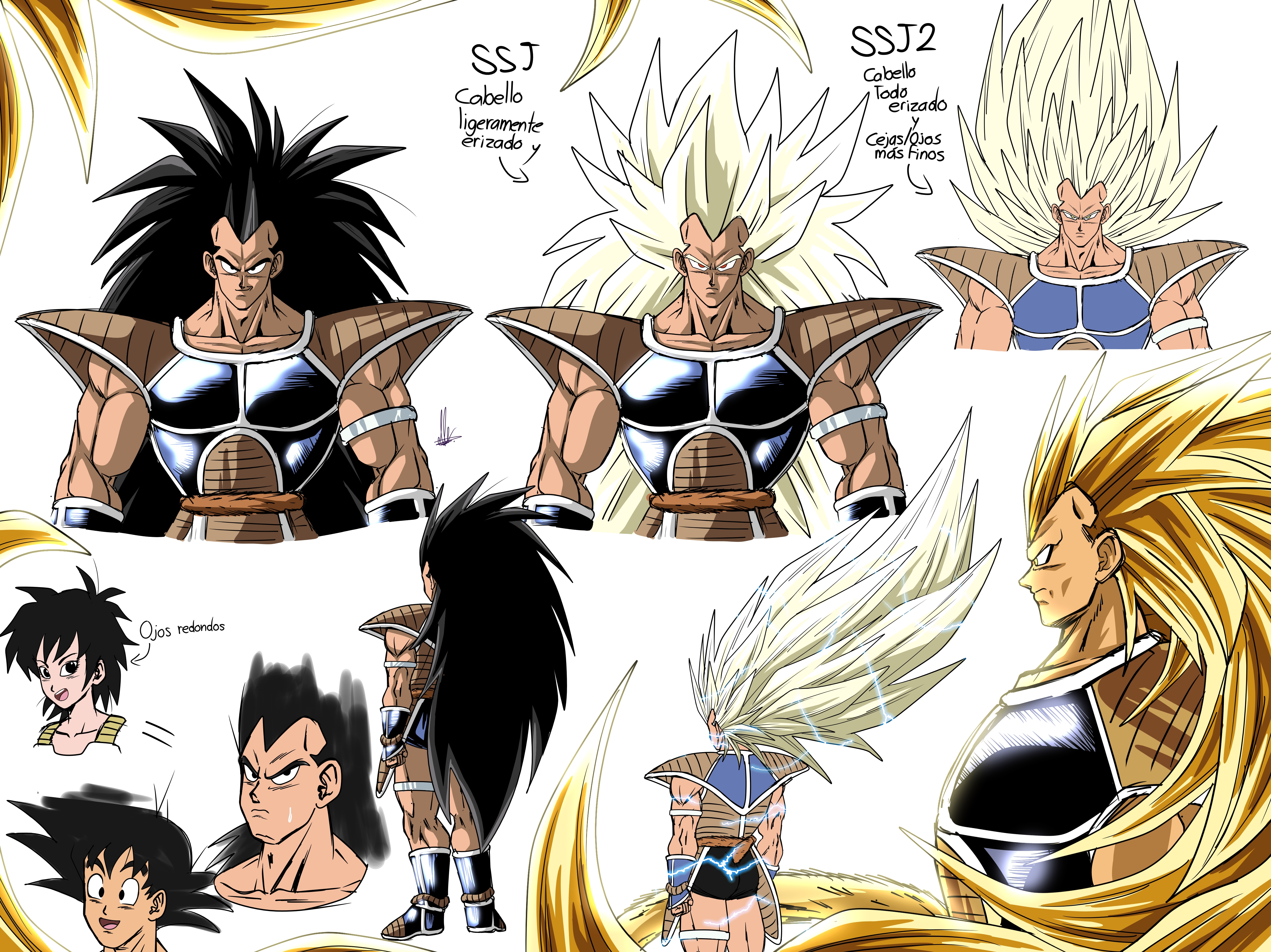 Raditz Ssj - Concept