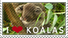 Koala Facts Stamp