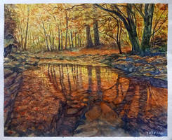 The Creek in Autumn