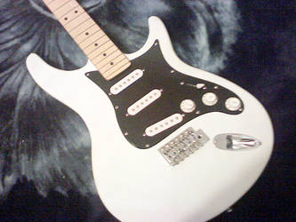 Customed Guitar Paint -2-