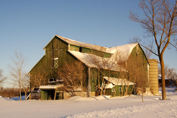 Old Barn 5