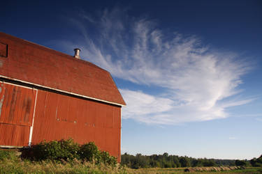 Skies of Blue 3