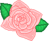 Peachy Rose Pixel 2