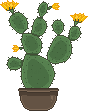 Big Cactus Pixel F2U