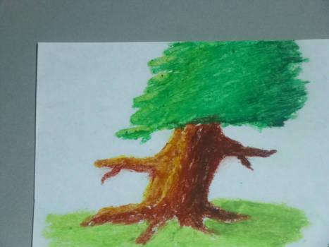 Oil Pastel: Tree