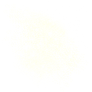 Star Cluster2