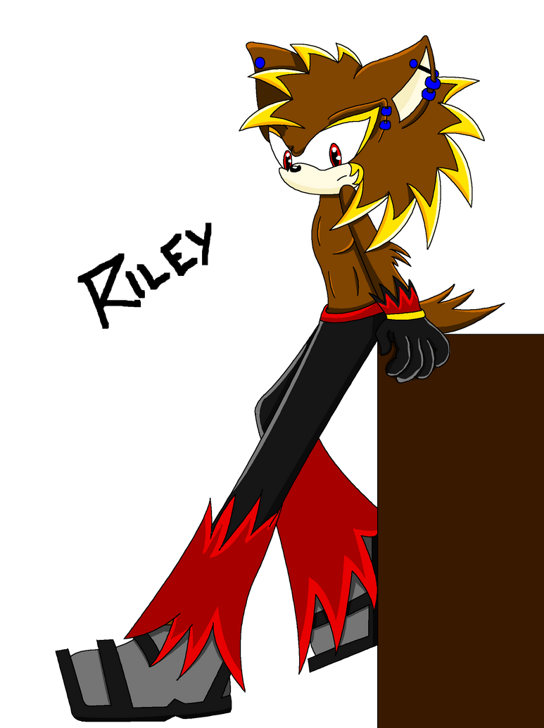 Riley the Hedgehog by MikolasShadows on DeviantArt