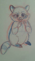 sketch raccoon 