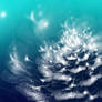 Illuminated (Moon Flower)