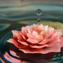 Fractal Water Lily