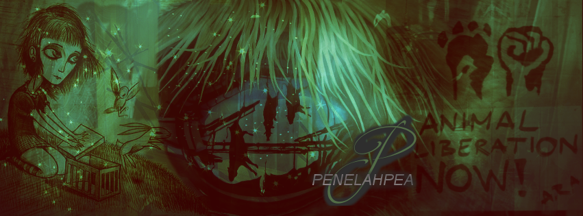 FB Cover for Penny