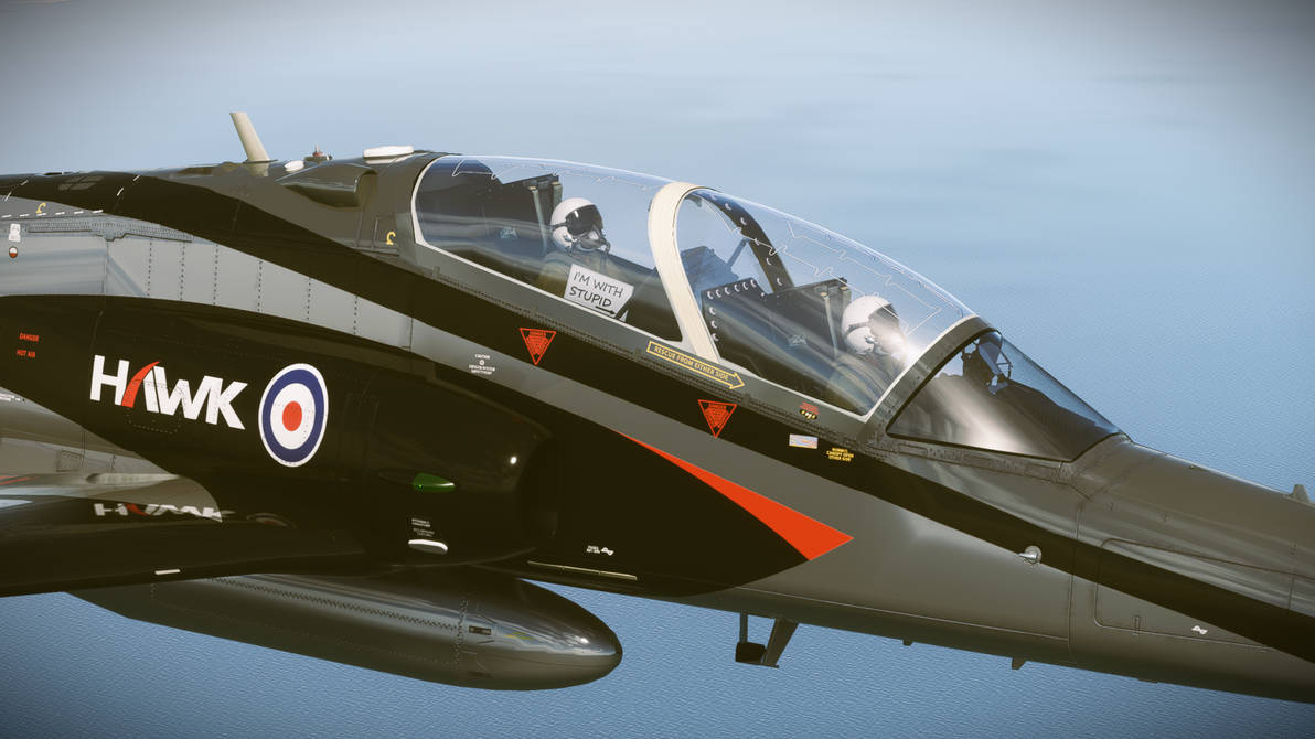 hawk t2 fun by techstepman on DeviantArt