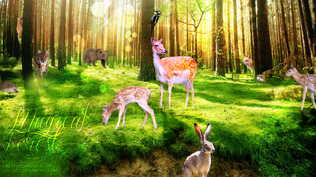 Photomanipulation~Magical Forest