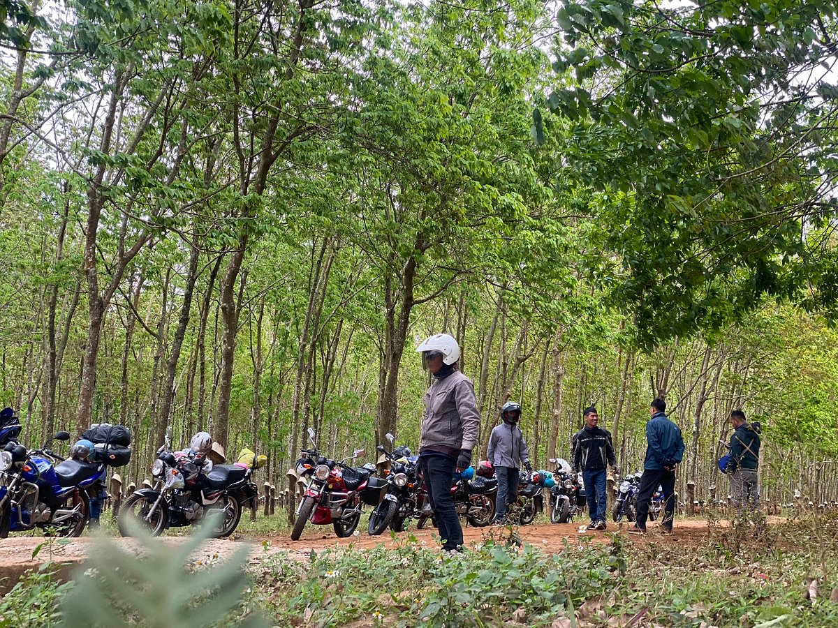 The Best Motorbike Routes In Vietnam By Wakanobi On DeviantArt the-best-motorbike-routes-in-vietnam-by-wakanobi-on-deviantart