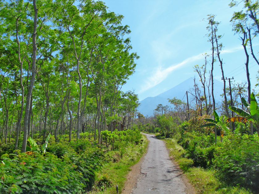 Mountain Semeru