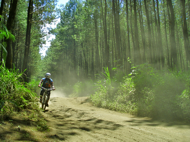 Mountain bike